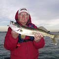 detroit river walleye charters