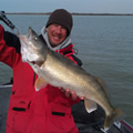 detroit river walleye charters