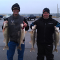 detroit river walleye charters