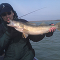 detroit river walleye charters