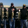 detroit river walleye charters