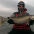 detroit river walleye charters