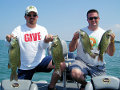 Great Lakes Bass Fishing Guide Service on Lake St. Clair Smallmouth in Michigan.