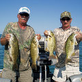 Great Lakes Bass Fishing Guide Service on Lake St. Clair Smallmouth in Michigan.