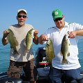 Great Lakes Bass Fishing Guide Service on Lake St. Clair Smallmouth in Michigan.