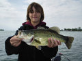 Great Lakes Bass Fishing Guide Service on Lake St. Clair Smallmouth in Michigan.