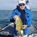 Great Lakes Bass Fishing Guide Service on Lake St. Clair Smallmouth in Michigan.
