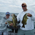 Great Lakes Bass Fishing Guide Service on Lake St. Clair Smallmouth in Michigan.