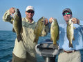 Great Lakes Bass Fishing Guide Service on Lake St. Clair Smallmouth in Michigan.