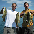 Great Lakes Bass Fishing Guide Service on Lake St. Clair Smallmouth in Michigan.