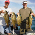 Great Lakes Bass Fishing Guide Service on Lake St. Clair Smallmouth in Michigan.