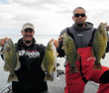 Great Lakes Bass Fishing Guide Service on Lake St. Clair Smallmouth in Michigan.