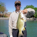 Great Lakes Bass Fishing Guide Service on Lake St. Clair Smallmouth in Michigan.