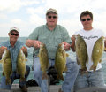 Great Lakes Bass Fishing Guide Service on Lake St. Clair Smallmouth in Michigan.