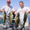 Great Lakes Bass Fishing Guide Service on Lake St. Clair Smallmouth in Michigan.