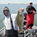 Great Lakes Bass Fishing Guide Service on Lake St. Clair Smallmouth in Michigan.