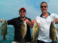 Great Lakes Bass Fishing Guide Service on Lake St. Clair Smallmouth in Michigan.