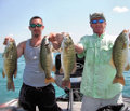 Great Lakes Bass Fishing Guide Service on Lake St. Clair Smallmouth in Michigan.