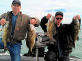 Great Lakes Bass Fishing Guide Service on Lake St. Clair Smallmouth in Michigan.