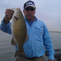 Great Lakes Bass Fishing Guide Service on Lake St. Clair Smallmouth in Michigan.