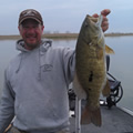 Great Lakes Bass Fishing Guide Service on Lake St. Clair Smallmouth in Michigan.