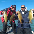 Great Lakes Bass Fishing Guide Service on Lake St. Clair Smallmouth in Michigan.