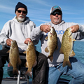 Great Lakes Bass Fishing Guide Service on Lake St. Clair Smallmouth in Michigan.