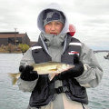 Great Lakes Bass Fishing Guide Service offers spring time walleye jigging charters on the Detroit River, Michigan.