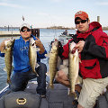 Great Lakes Bass Fishing Guide Service offers spring time walleye jigging charters on the Detroit River, Michigan.