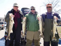 Great Lakes Bass Fishing Guide Service offers spring time walleye jigging charters on the Detroit River, Michigan.